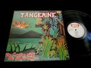 TANGERINE/DE L'AUTRE COTE DE LA FORET/FRENCH PROG/ARCANE/FRENCH LP 1975/ML/C
