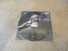 AC/DC / The Razors Edge /  Vinyl Picture Disc Sehr Selten