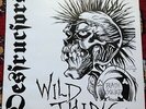 Destructors - Wild Thing, 12