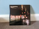 Blossoms - Cool Like You DELUXE Vinyl - Bonus Acoustic LP