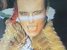 Adam Ant SIGNED Adam and the Ants 'Kings Of The Wild Frontier' vinyl COMPLETE