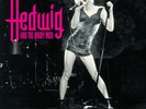 Hedwig And The Angry Inch (Original Cast Recording) *NEW PINK RECORD LP VINYL