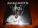 BEHEMOTH 