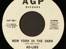 AD-LIBS: new york in the dark / human AGP 7