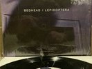 Rare Bedhead 10” inch 45rpm 2 Songs:  Lepidoptera / Leper Vinyl LP Single Ex+