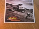 Dodgy Homegrown 12” Vinyl