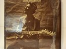 HOUND DOG TAYLOR & THE HOUSEROCKERS  ALLIGATOR 4701 LP VG+/NM Shrink 1973