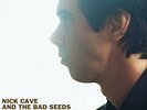 Nick Cave and the Bad Seeds Nocturama double lp 180 gram Vinyl