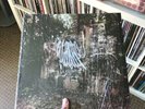 La Dispute - Wildlife 2 X LP Vinyl Record Red & Clear