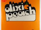 Dixie Peach - S/T LP - Raintree SEALED