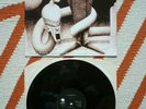 The Chameleons Tears 12