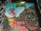 DISEMBOWEL echoes of death COLOR vinyl LP doom black metal massacre deicide