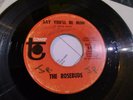 The Rosebuds (4) – Say You'll Be Mine / Mama Said. TOWER RECORDS 105.