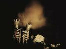 PEARL JAM RIOT ACT VINYL LP RECORD (2017) 2-LP