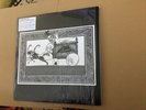 Rudimentary Peni  Lp  Sex Pistols The Clash The Dammed Buzzcocks Crass Rancid