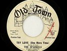 The Sparkels 