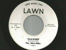 GARAGE SURF ROCKABILLY T.S. INSTROS- NITE-NIKS - SHAWNEE -HEAR - 1963 DJ LAWN
