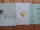 The Essence Purity LP Post punk Goth