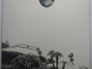 Timber Timbre ‎– Hot Dreams