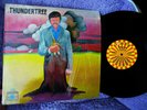 SHRINK  ? SOUGHT 1970 THUNDERTREE ? HEAVY HARD EDGED FUZZ PSYCH GARAGE JAMMER