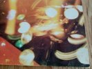 Beatles Fan Club Flexi Disc 1969 Lyn 1970/71
