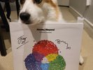 Signed/Autographed Above & Beyond – Common Ground (2 x Vinyl, LP, Album)