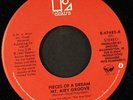 PIECES OF A DREAM: mt. airy groove / please don't do this to me ELEKTRA 7