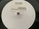 Esoterik David Spaans Desert Planet Tribal Techno Acid DJ 12” Crowd Control 1996