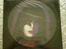 KISS   Paul Stanley Solo   ? SEALED PICTURE DISC LP Casablanca ?NBPIX 7123