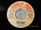 RAY CAMPI=TEXAS SANDS/HOW LOW CAN YOU FEEL=ROLLIN' ROCK 046