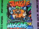 Various - Jungle Massive Collective 2 (2xLP, Comp)