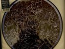 1989 Morbid Angel Altars of Madness LP Picture Disc Vinyl Reissue 2006 Earache