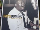 Fats Domino - Greatest Hits / 2LP (NOT2LP262) gold