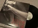 Pantera Vulgar Display of Power vinyl LP heavy metal thrash