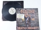 Hallows Eve Death & Insanity 1986 Vinyl Metal Blade Restless 72163-1 Record VTG