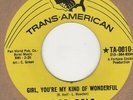 Bob Relf Blowing My Mind To Pieces Trans-American  Soul Northern Motown