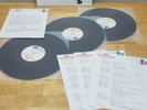 Sting: The Police Decade And Beyond Vintage Radio Show 3LP Vinyl Record Set