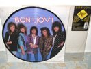 BON JOVI Slippery When Wet LP Orig 1986 Limited Edition PICTURE DISC Mercury NM