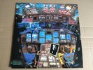 Damaged Bug Limited Edition Green LP Castle Face John Dwyer Thee Oh Sees