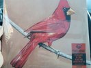 Alexisonfire Old Crows Young Cardinals + Crisis Clear w/Red Black + Cream Vinyl