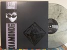 STAN RIDGWAY (WALL OF VOODOO) black diamond BIRDCAGE 2xLP alternative indie rock