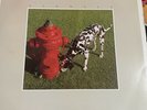Rush, Signals, 1982 Mercury Records Vinyl Record LP