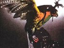Budgie In For the Kill  Vinyl Import New Sealed LP