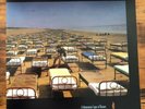 Pink Floyd A Momentary Lapse of Reason LP Vinyl  40599 Original Pressing