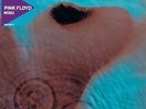 Meddle