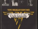 VAN HALEN You Really Got Me 7 INCH VINYL Netherlands Warner Bros 1978 Pic Sleeve
