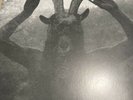 Windhand & Cough - Reflection Of The Negative - Split LP