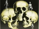 Skull Snaps - Skull Snaps (LP)