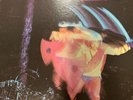 Black Sabbath Paranoid 12