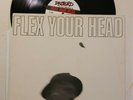 FLEX YOUR HEAD LP DC HARDCORE MINOR THREAT GOVERNMENT ISSUE TEEN IDLES SOA VOID
